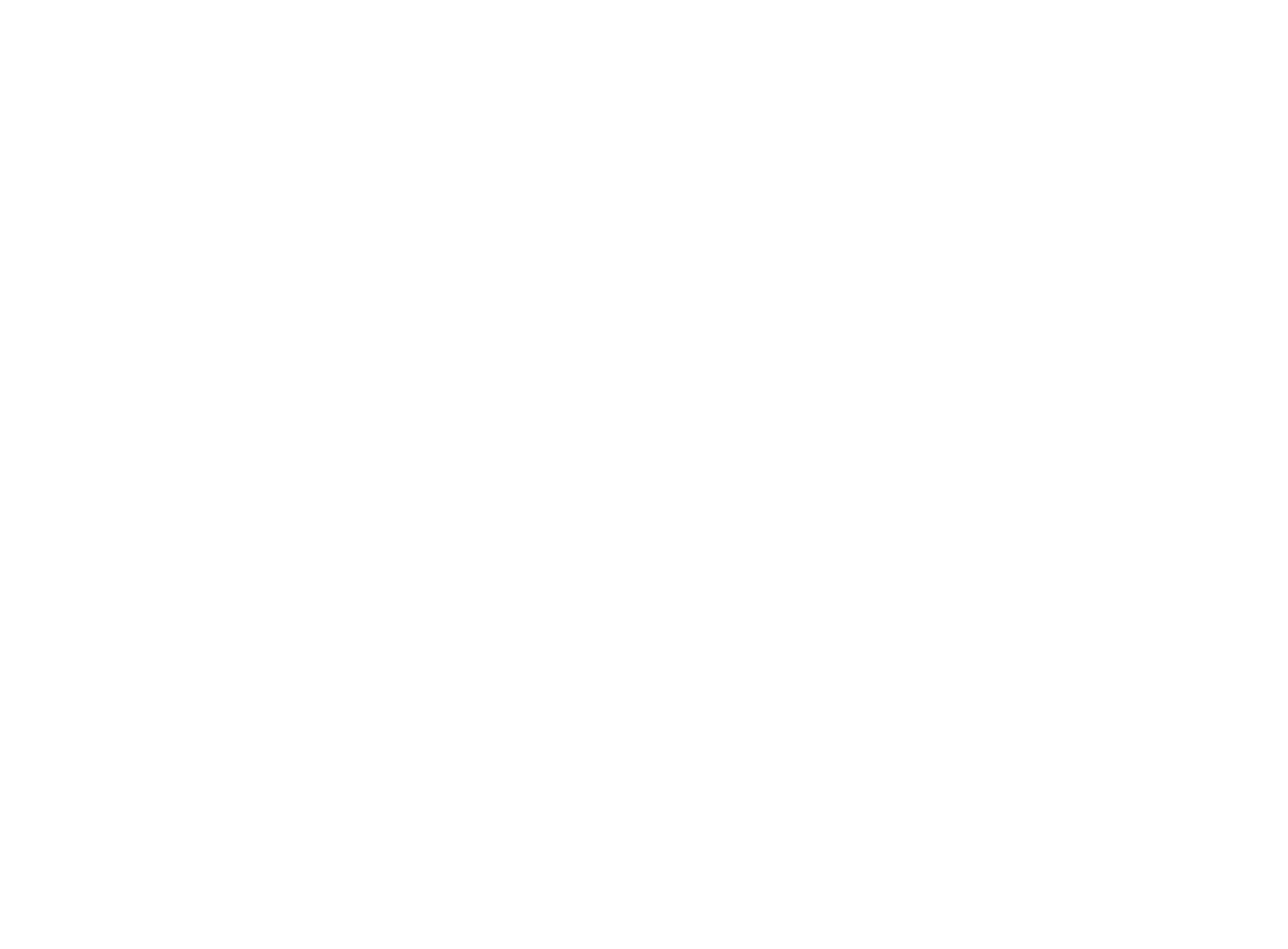 FOCON Showtechnic Logo