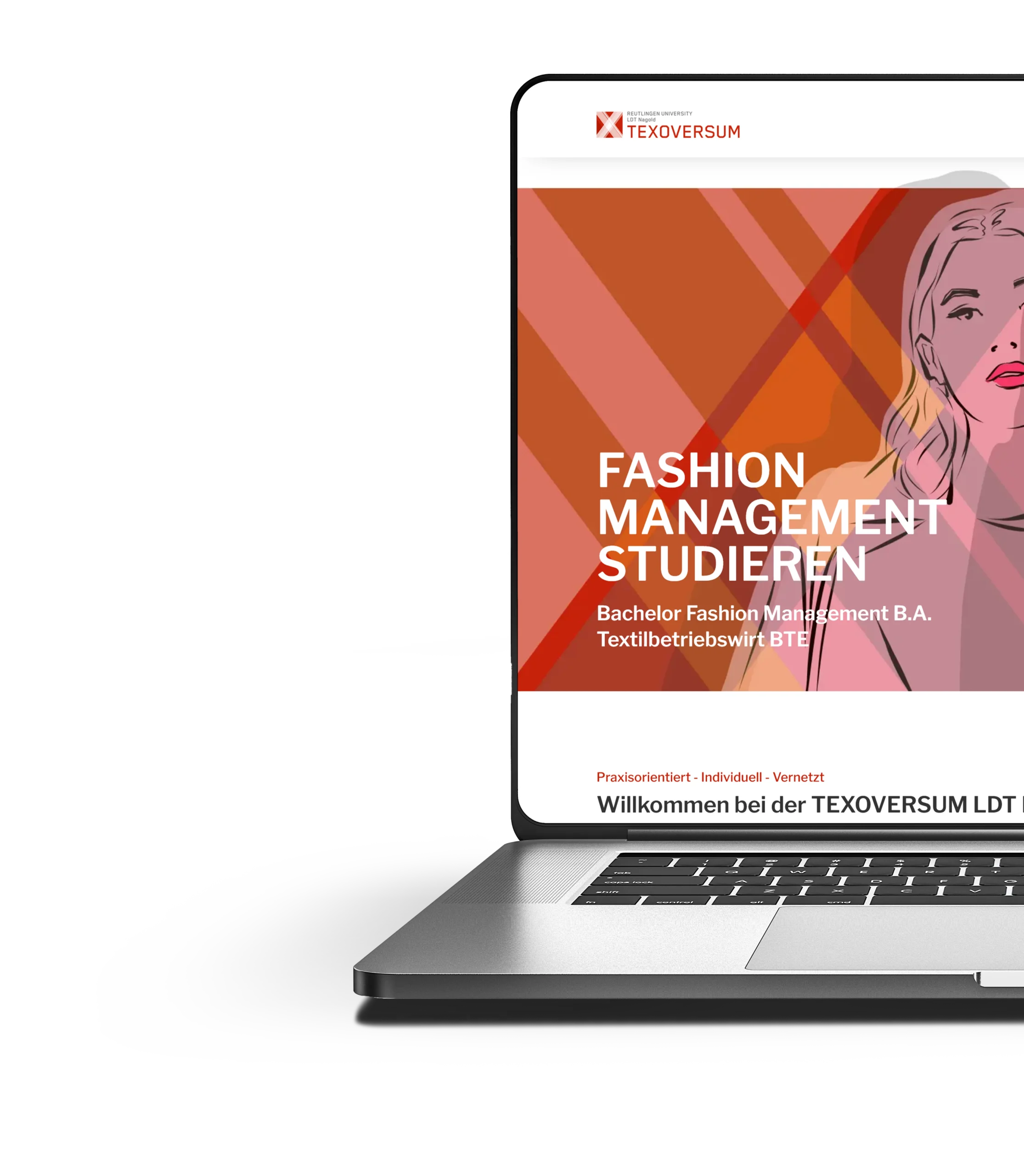 Beispiel einer Webseite, Webdesign Beispiel Ochtrup